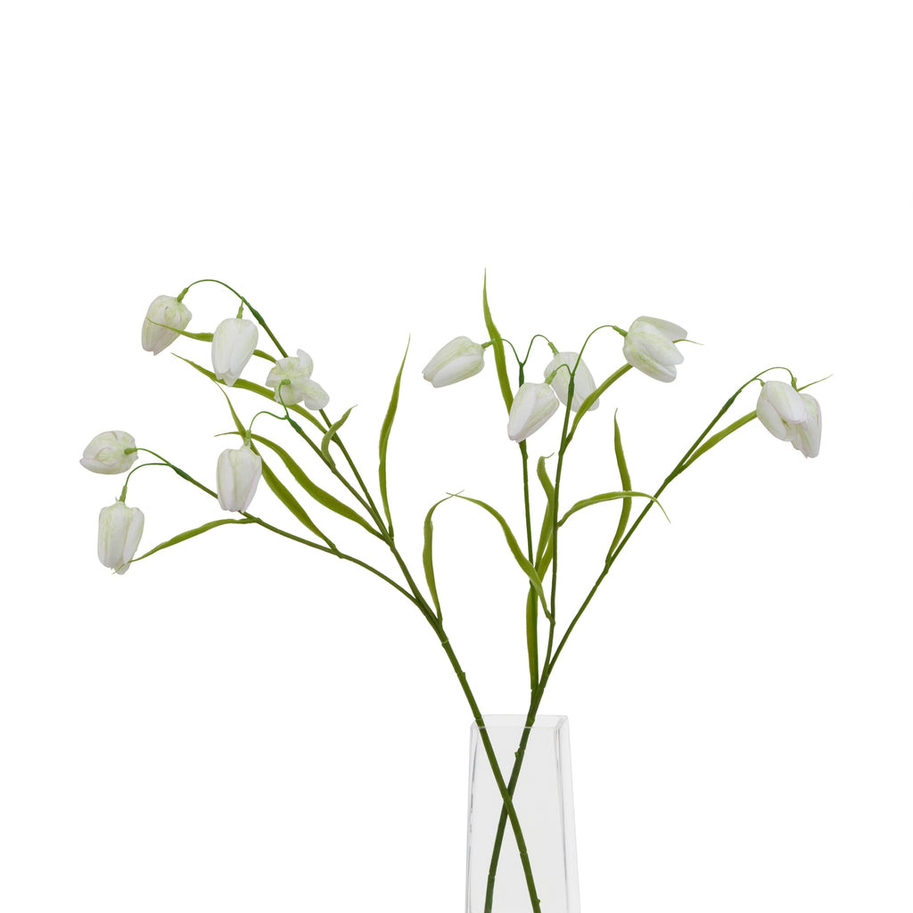 The Natural Garden Collection White Fritillaria Stem – alternate view 5
