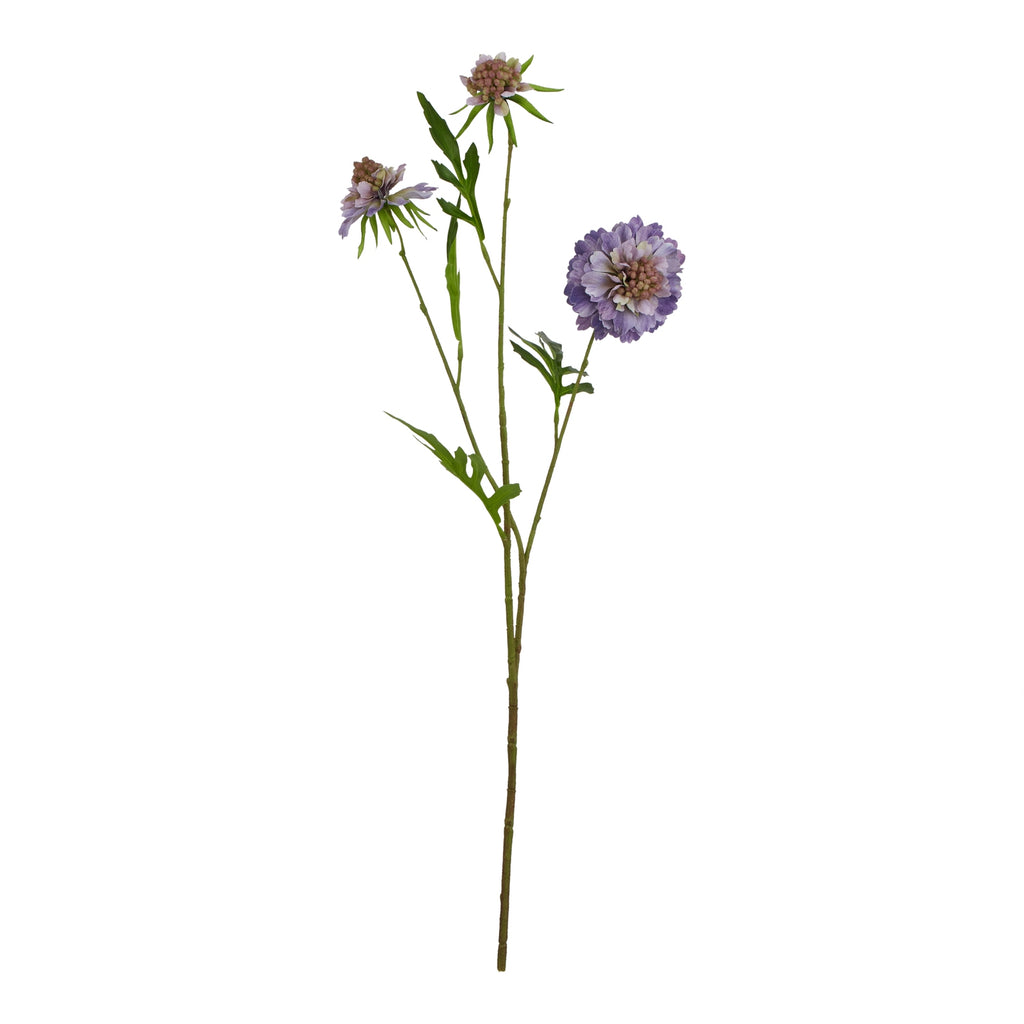 The Natural Garden Collection Purple Scabious Stem – alternate view 3