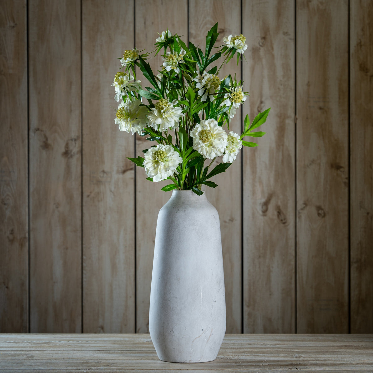 The Natural Garden Collection White Scabious Stem – alternate view 2