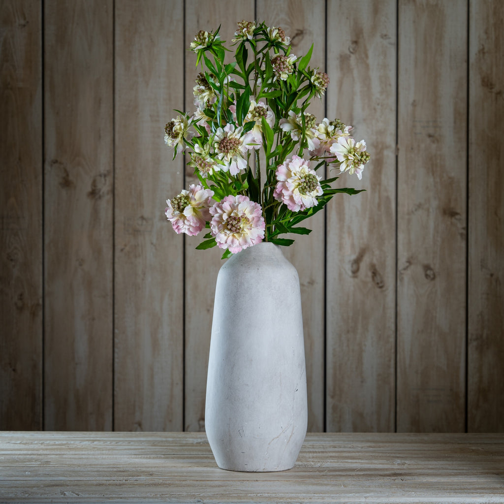 The Natural Garden Collection Pale Pink Scabious Stem – alternate view 2