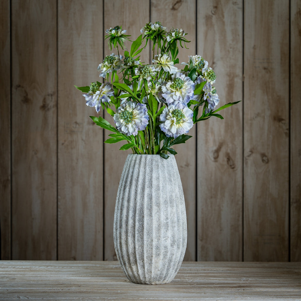 Pale Blue Scabious Stem – alternate view 2