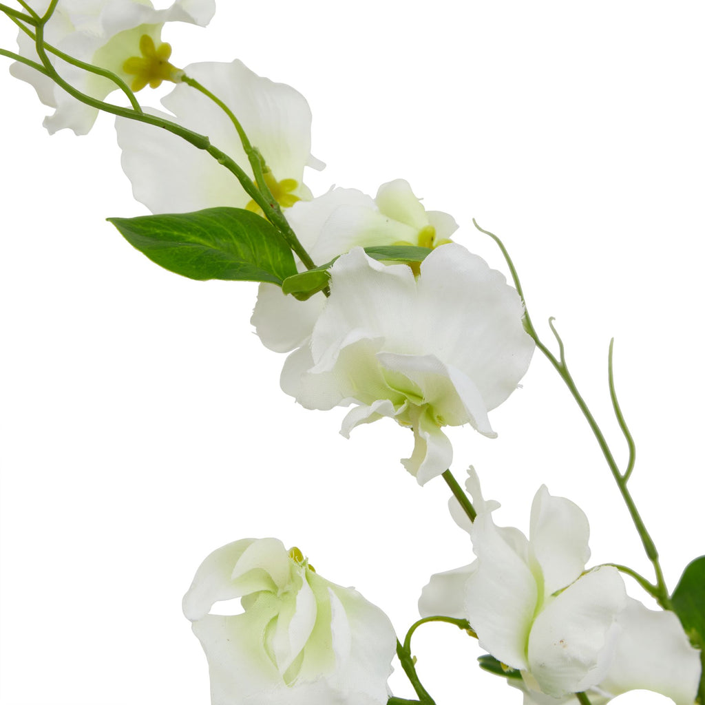 The Natural Garden Collection White Sweetpea Stem – alternate view 2