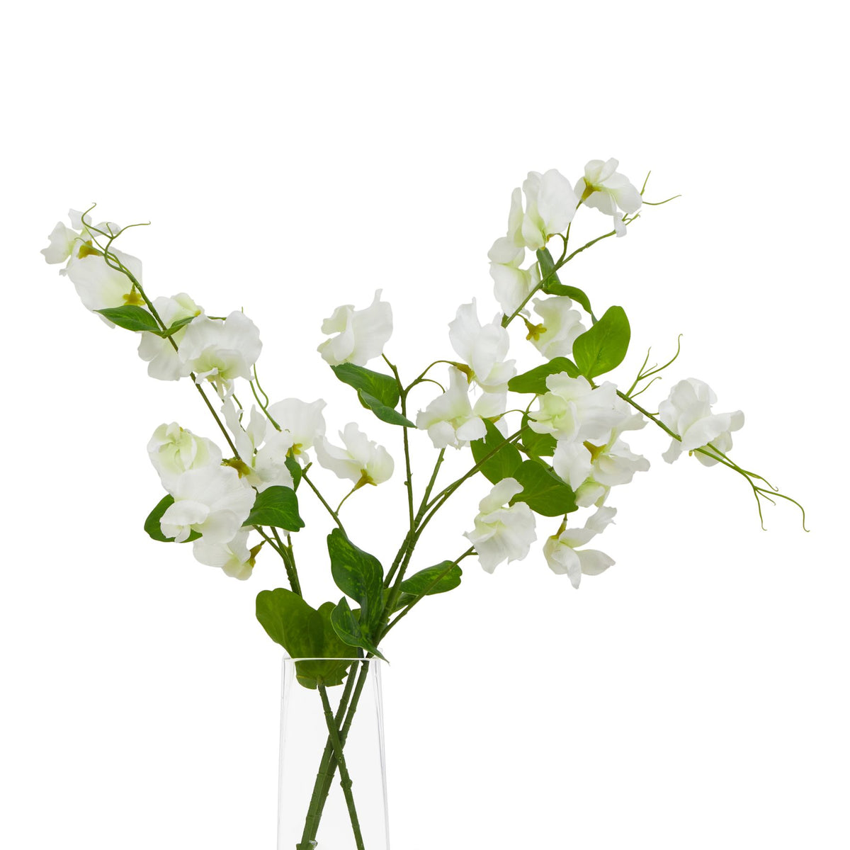 The Natural Garden Collection White Sweetpea Stem – alternate view 3