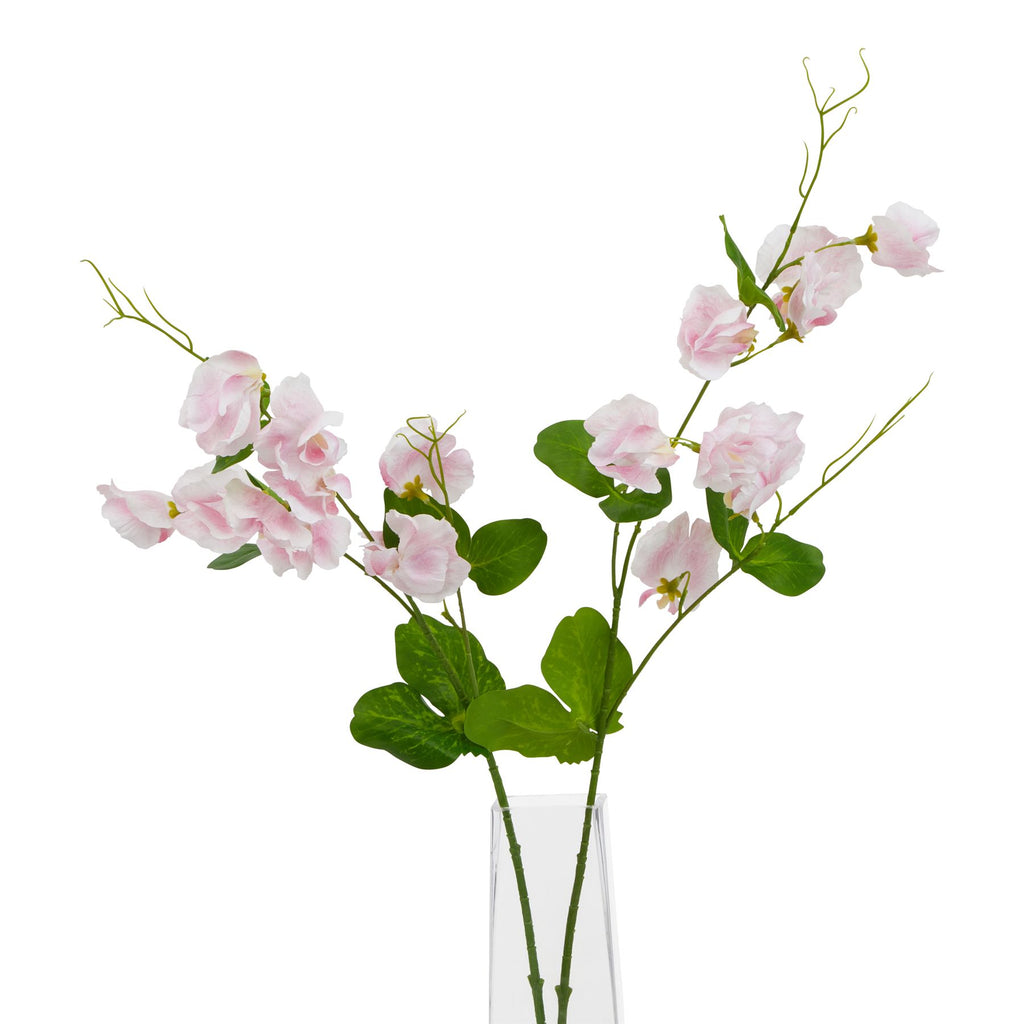The Natural Garden Collection Pale Pink Sweetpea Stem – alternate view 3