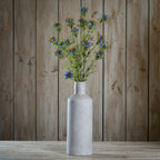 The Natural Garden Collection Purple Nigella Love In A Mist – alternate view 2