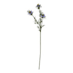 The Natural Garden Collection Purple Nigella Love In A Mist – alternate view 3