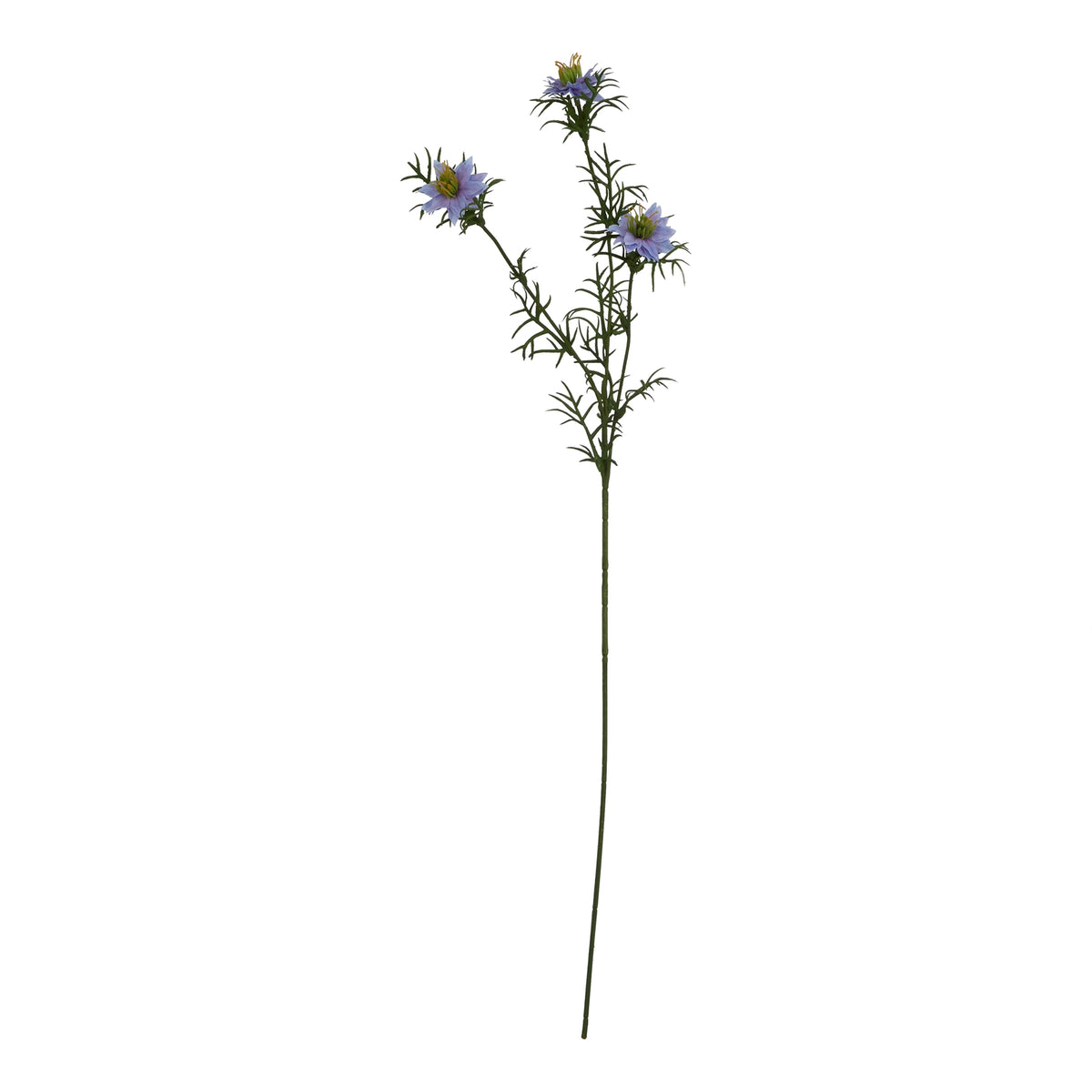 The Natural Garden Collection Purple Nigella Love In A Mist – alternate view 3