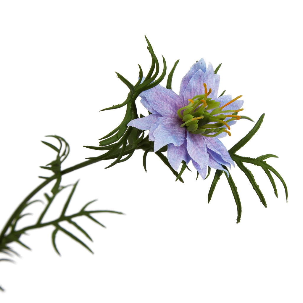 The Natural Garden Collection Purple Nigella Love In A Mist – alternate view 4