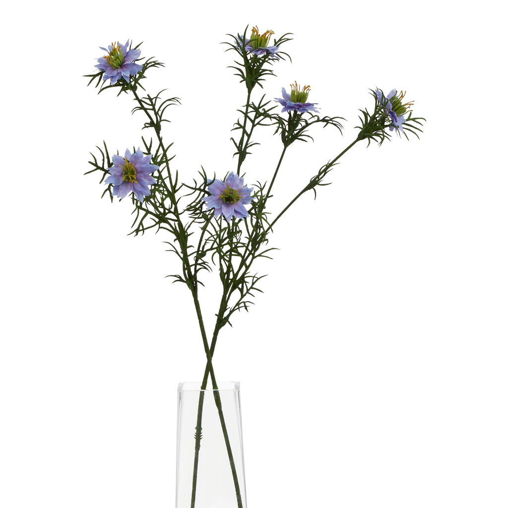 The Natural Garden Collection Purple Nigella Love In A Mist – alternate view 5
