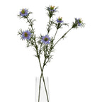 The Natural Garden Collection Purple Nigella Love In A Mist – alternate view 5