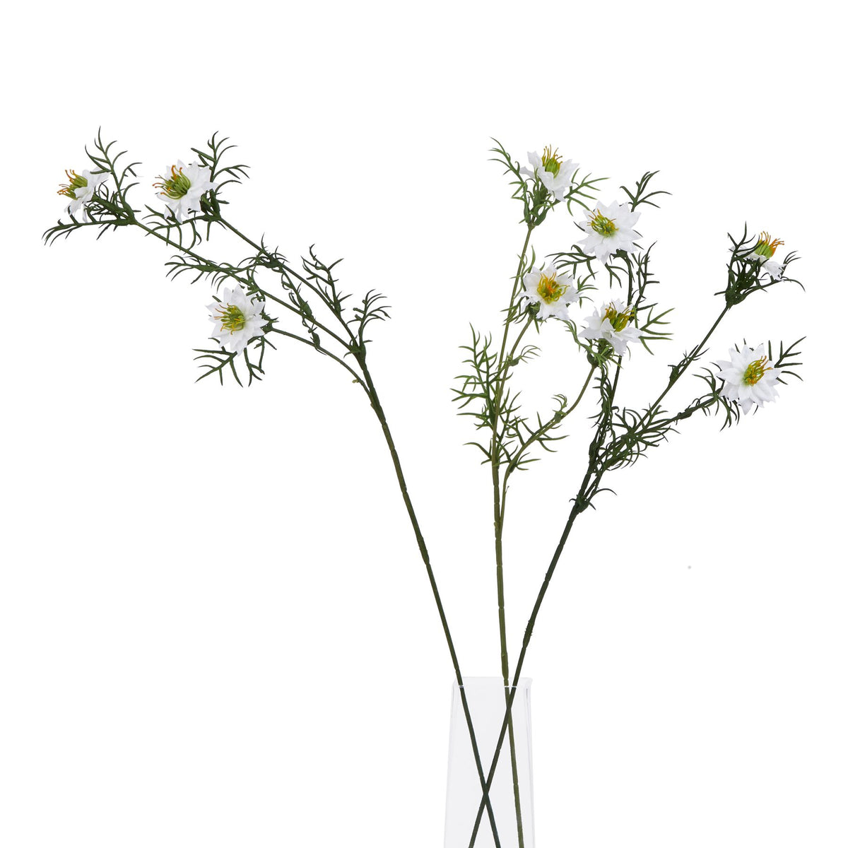 The Natural Garden Collection White Nigella Love In A Mist – alternate view 3