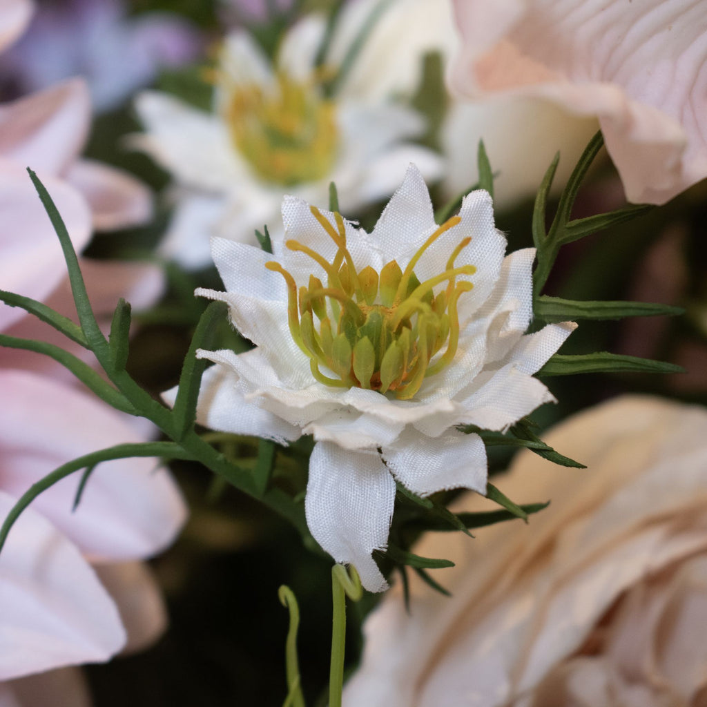 The Natural Garden Collection White Nigella Love In A Mist – alternate view 4