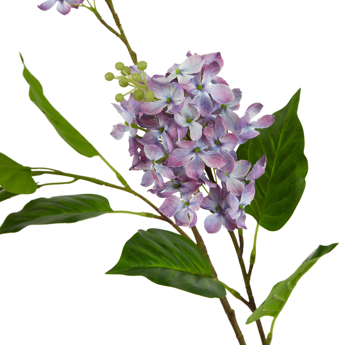 The Natural Garden Collection Purple Lilac Stem – alternate view 4