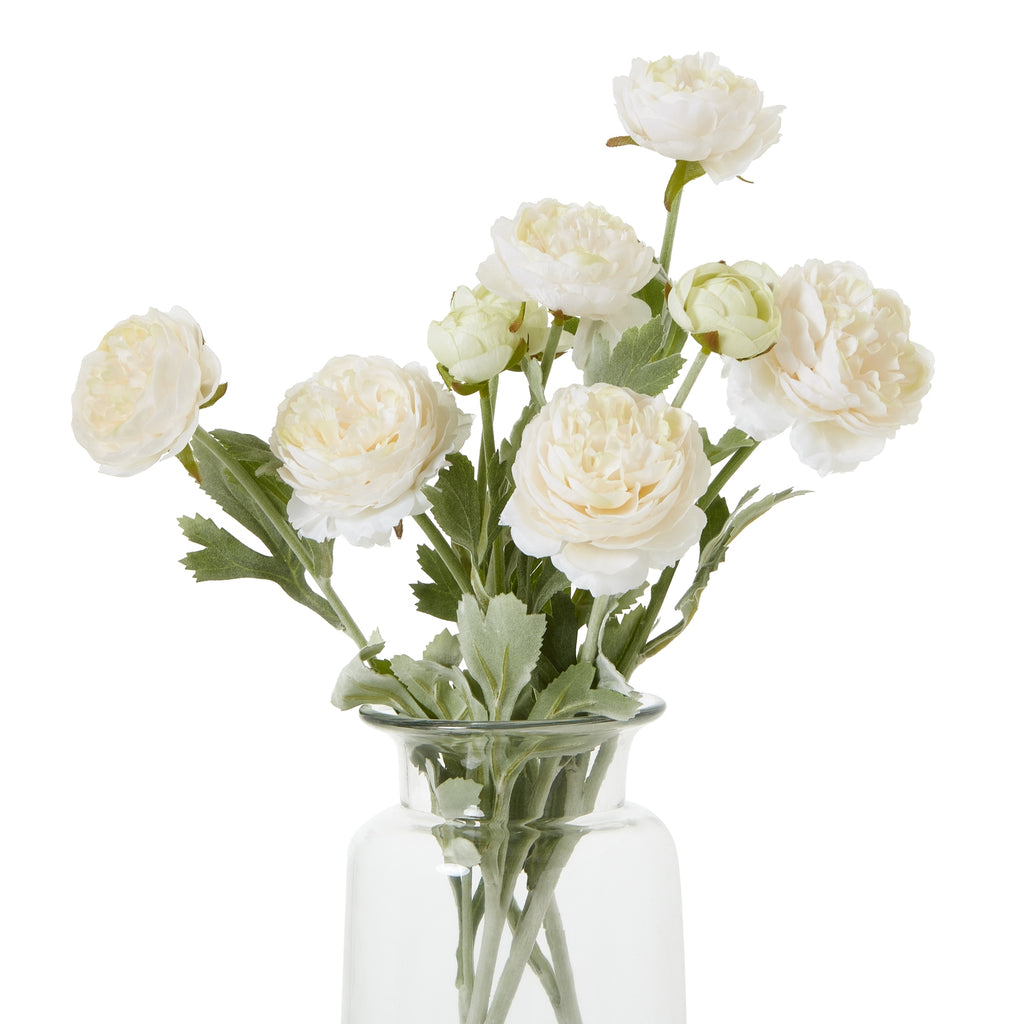 The Natural Garden Collection Apricot Ranunculus – alternate view 2