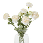 The Natural Garden Collection Apricot Ranunculus – alternate view 2