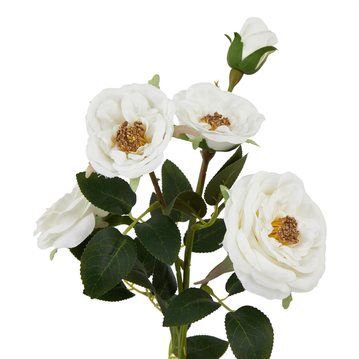 The Natural Garden Collection White Hedge Rose Stem – alternate view 2