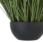 Large Onion Grass Plant In Pot – alternate view 3
