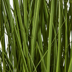 White Allium Plant In Pot – alternate view 3