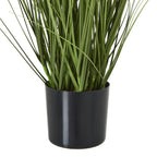 White Agapanthus Plant In Pot – alternate view 4