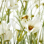 Large White Meadow Plant In Pot – alternate view 2