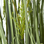Large White Meadow Plant In Pot – alternate view 3