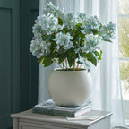 Green Hellebore Plant In Taupe Pot – alternate view 5