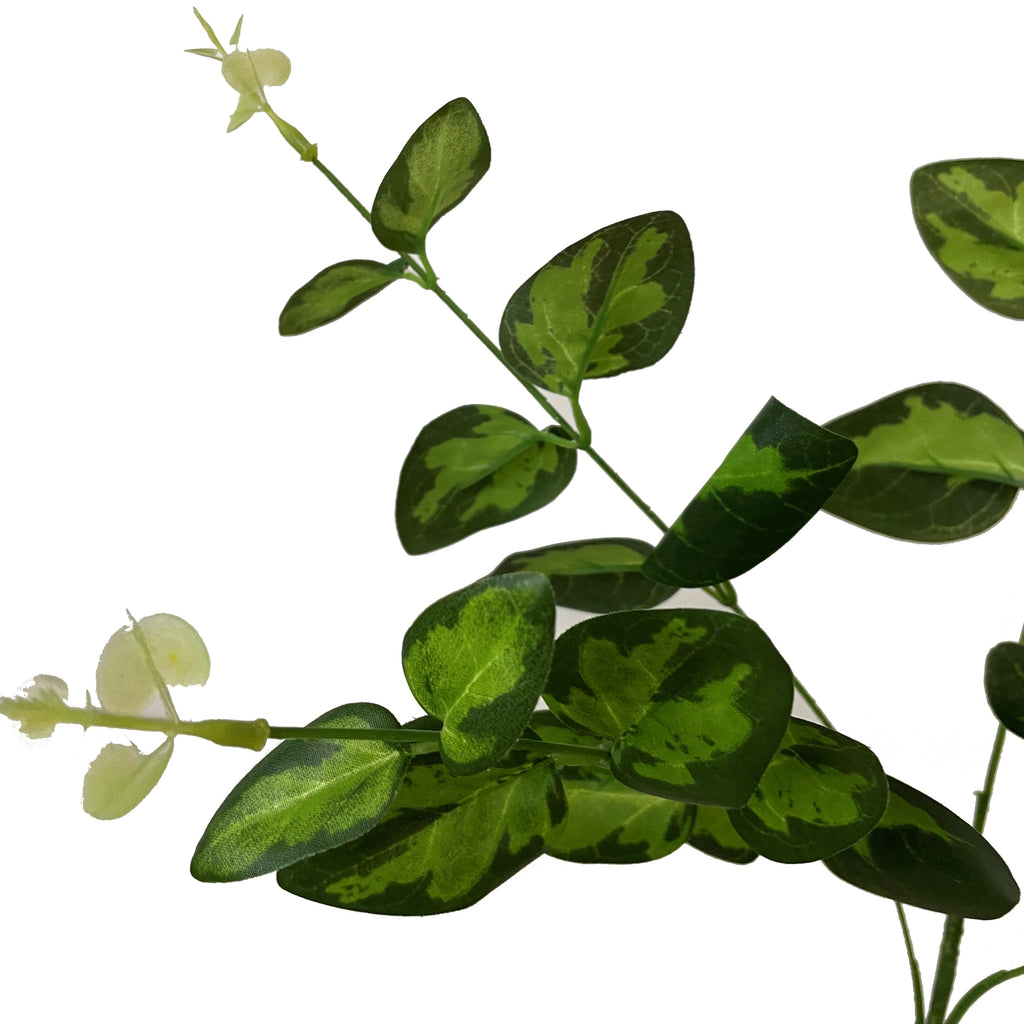 Variegated Leaf Spray – alternate view 2