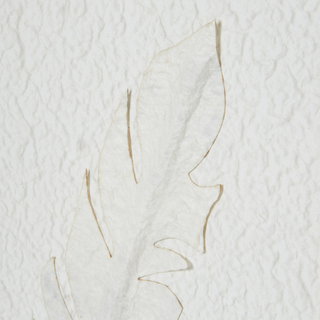 Solli White Feathers Art Mounted In Beaded Frame – alternate view 3
