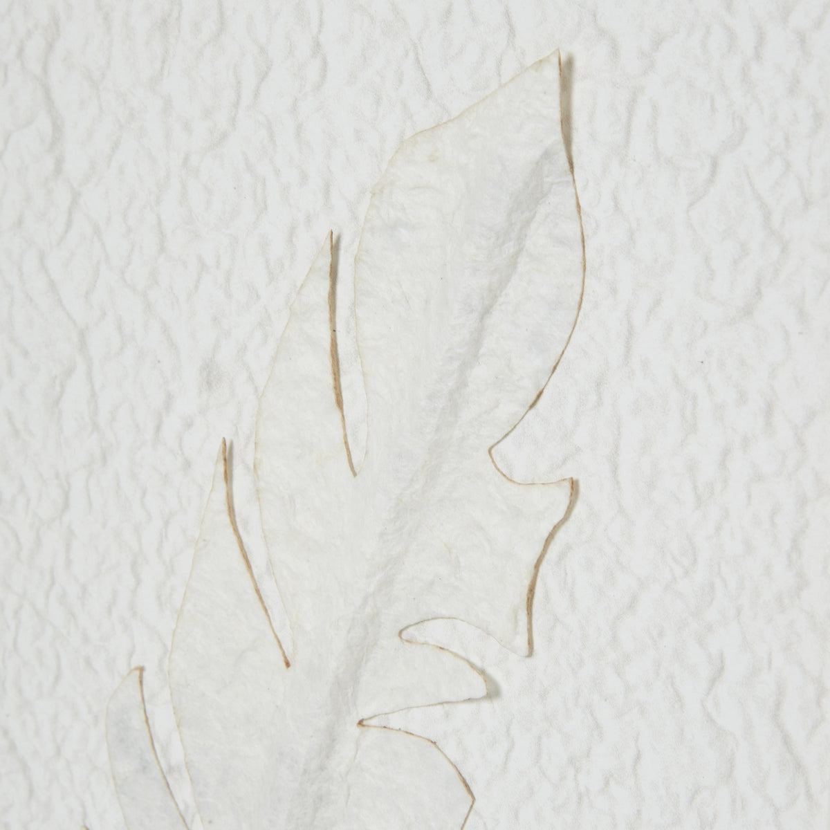 Solli White Feathers Art Mounted In Beaded Frame – alternate view 3