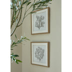 Reef Coral Art Mounted In Beaded Frame – alternate view 5