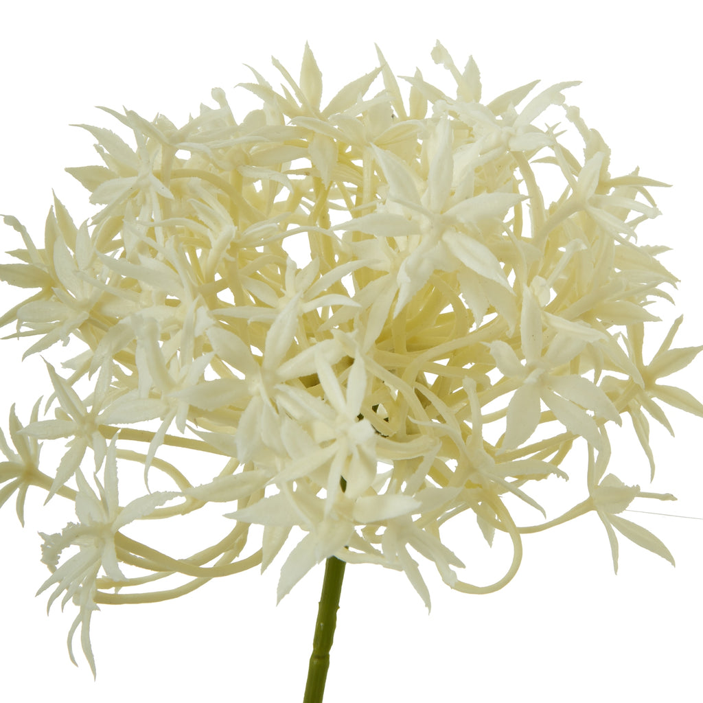 Three Head Cream Allium Spray – alternate view 2