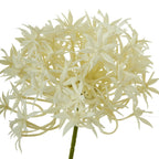 Three Head Cream Allium Spray – alternate view 2