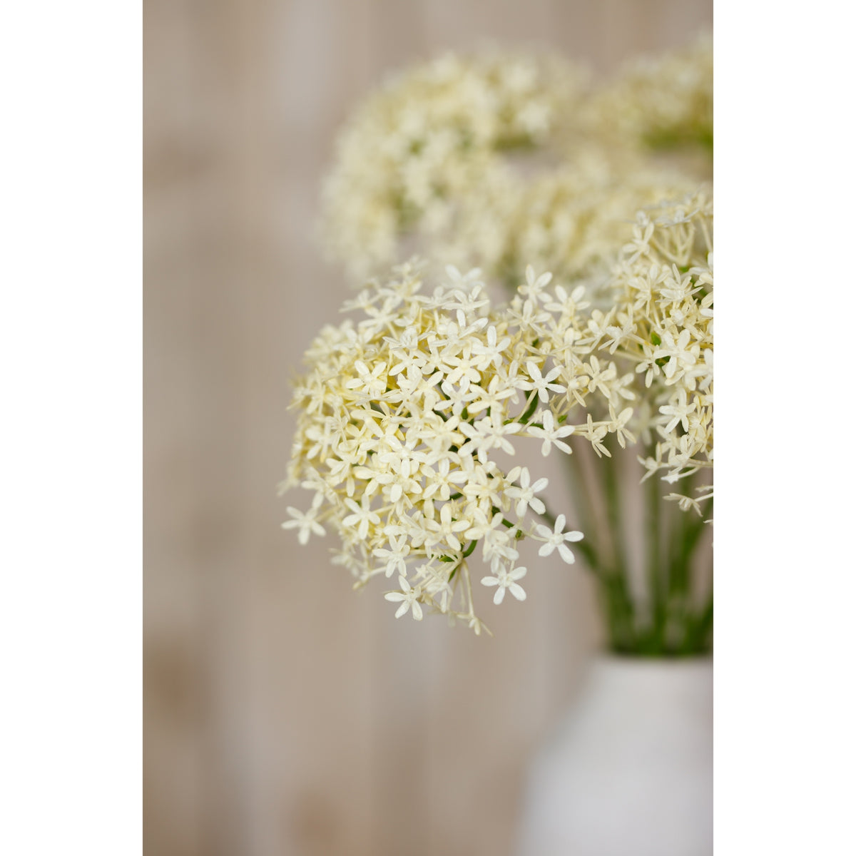 Three Head Cream Allium Spray – alternate view 5