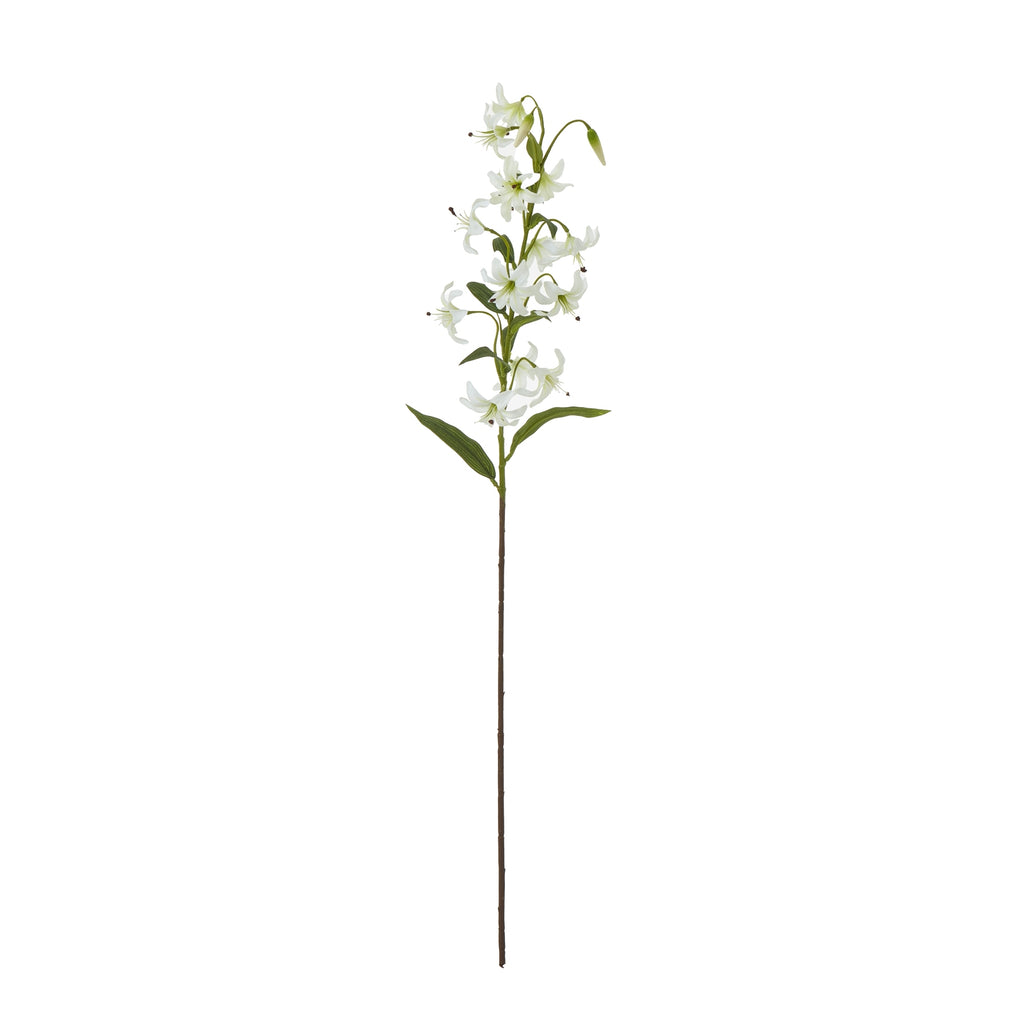 Turks Cap Green Lily Spray – alternate view 3