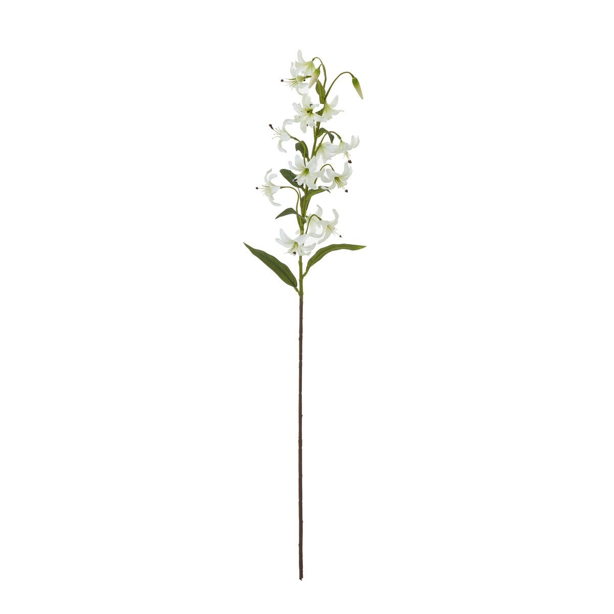Turks Cap Green Lily Spray – alternate view 3