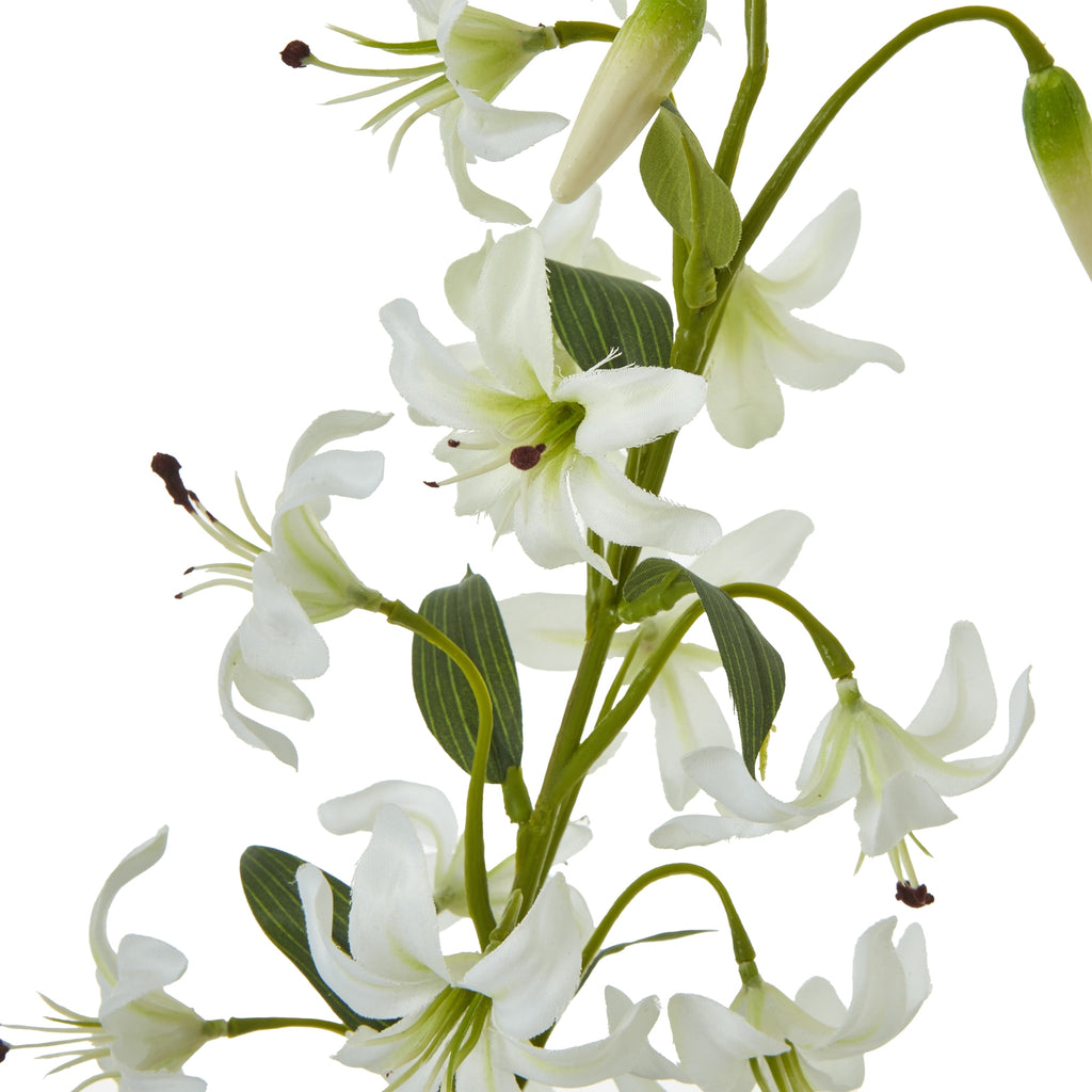 Turks Cap Green Lily Spray – alternate view 4
