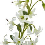 Turks Cap Green Lily Spray – alternate view 4