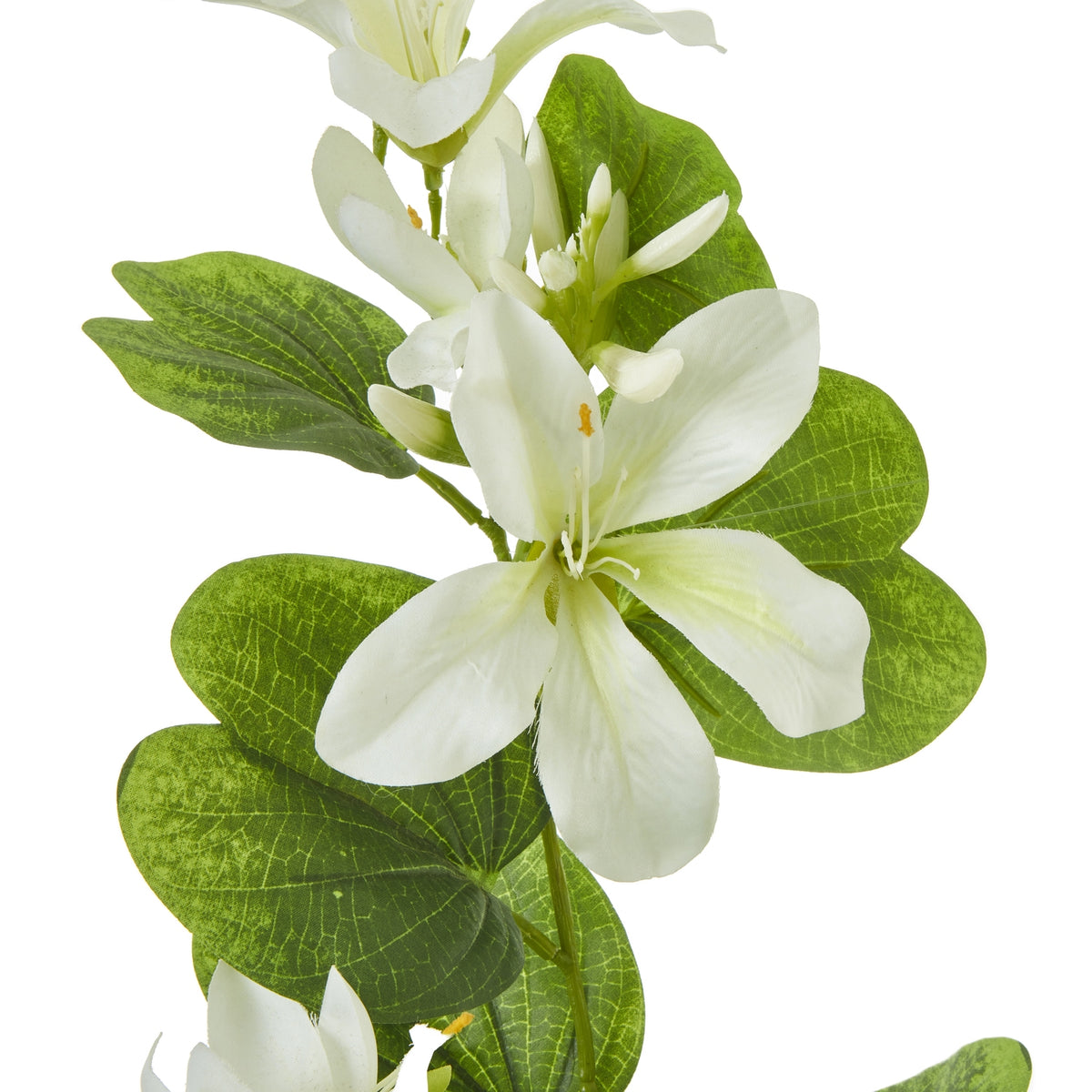 Cream Bauhinia Orchid Spray – alternate view 2
