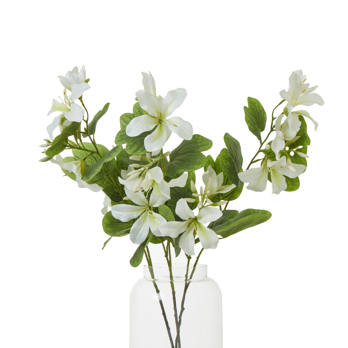 Cream Bauhinia Orchid Spray – alternate view 3