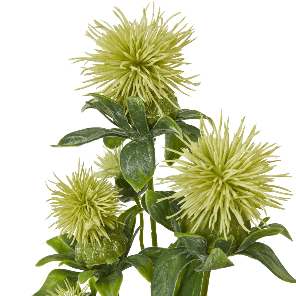 Green Safflower Spray – alternate view 2