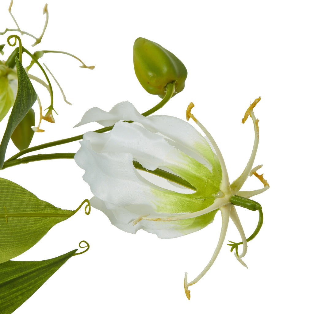 Cream Gloriosa Spray – alternate view 2