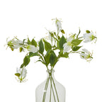 Cream Gloriosa Spray – alternate view 3