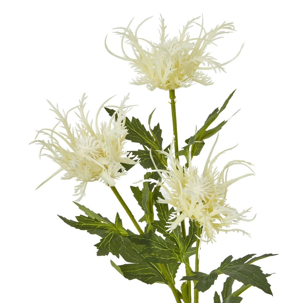 Cream Sea Holly Spray – alternate view 2