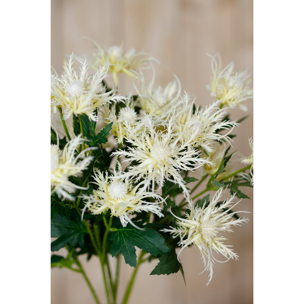 Cream Sea Holly Spray – alternate view 5
