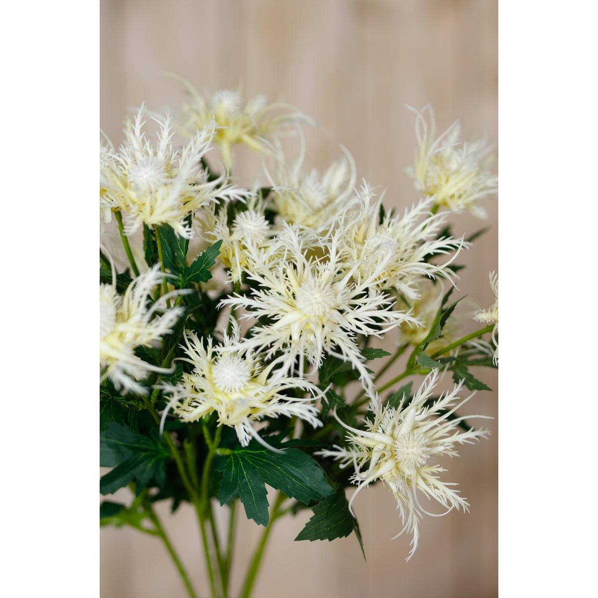 Cream Sea Holly Spray – alternate view 5