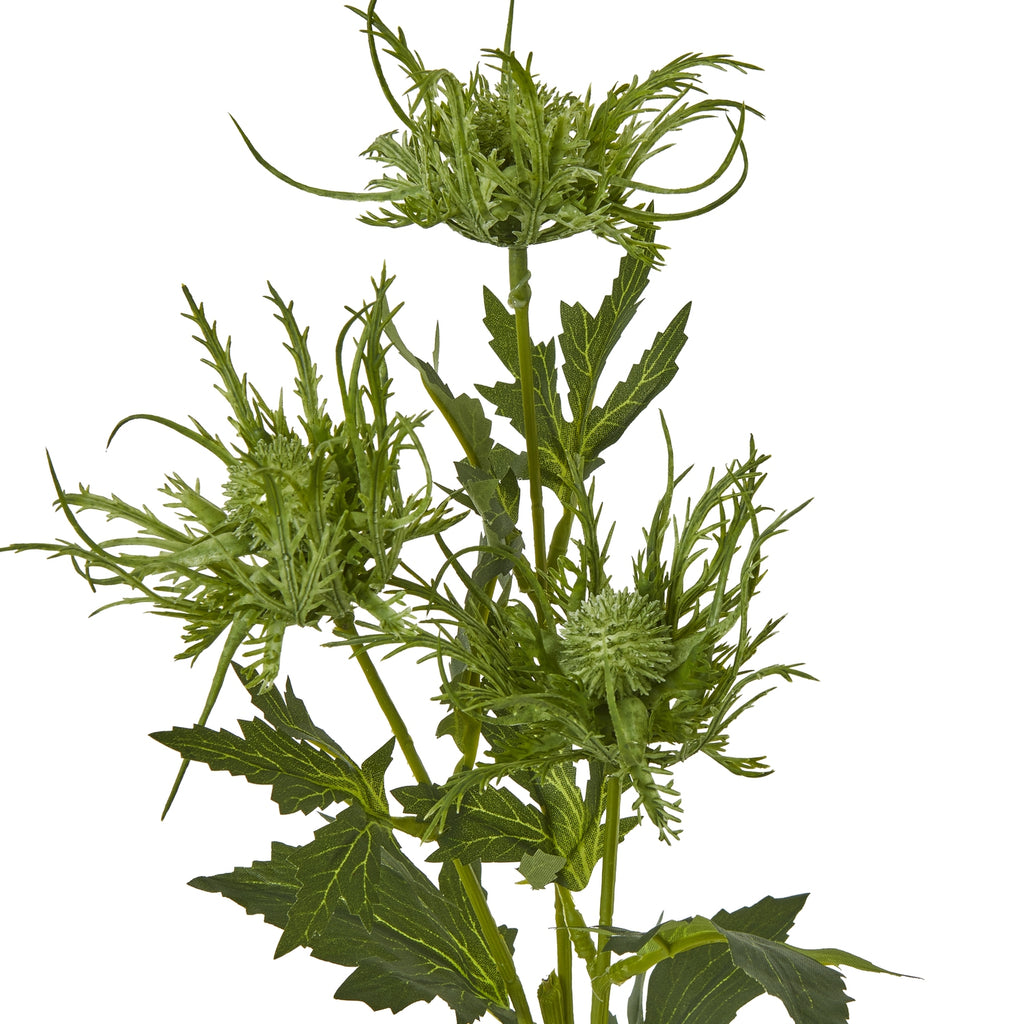 Green Sea Holly Spray – alternate view 2