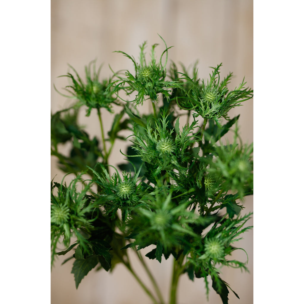 Green Sea Holly Spray – alternate view 5