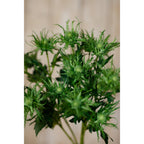 Green Sea Holly Spray – alternate view 5