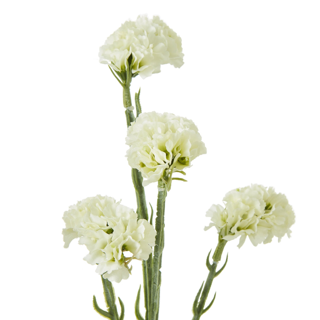 Cream Statice Spray – alternate view 2