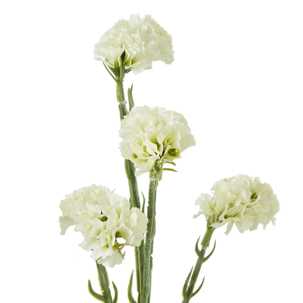 Cream Statice Spray – alternate view 2